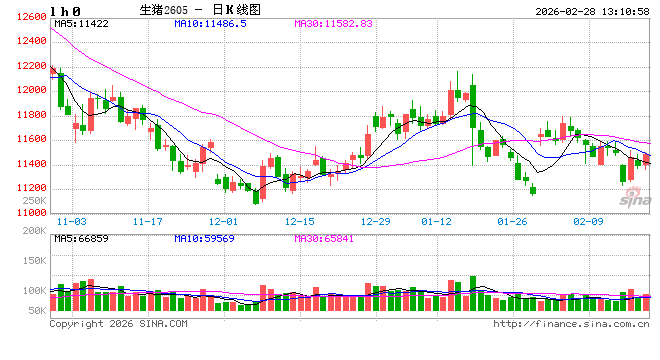 高瞻远“猪”:节后亏损再度加剧 生猪养殖何时走出困境? 第2张 高瞻远“猪”:节后亏损再度加剧 生猪养殖何时走出困境? 第2张