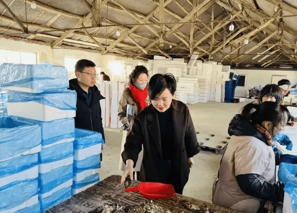 一起劈开这片海:度小满见证乳山百亿牡蛎产业的女性微光 第3张 一起劈开这片海:度小满见证乳山百亿牡蛎产业的女性微光 第3张